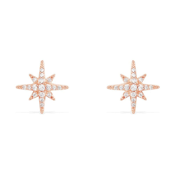 Apm Monaco Donna RE8419OX Pink Silver Meteorites Stud Earrin