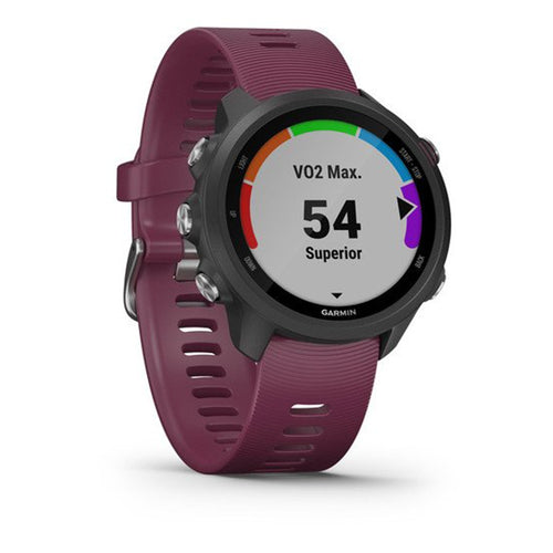 Garmin 010-02120-11 Forerunner 245 Smartwatch.