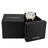 Citizen Uomo CA0693-12A Of Collection Aviator Eco Drive